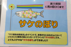 Makomanai, Makomanai Park, Sapporo, Sapporo Salmon Museum