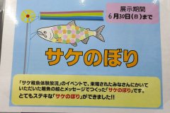 Makomanai, Makomanai Park, Sapporo, Sapporo Salmon Museum
