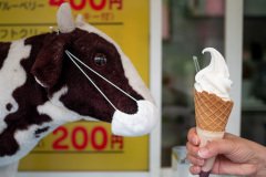 Fukuzumi, Hitsujigaoka Dream Akaigawa Yamanaka Farm Soft Serve Ice Cream, Sapporo, 羊ヶ丘ドリーム 赤井川 山中牧場ソフトクリーム