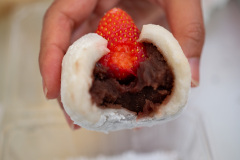 Nakajima Park, Sapporo