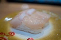 Sapporo, Toriton Fushiko