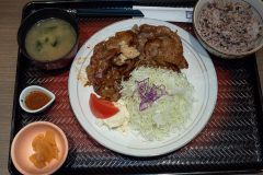 Maruyama Class, Ootoya, Sapporo