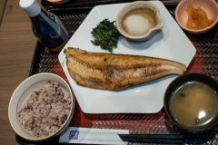 Maruyama Class, Ootoya, Sapporo