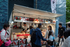 Nakajima Park, Sapporo