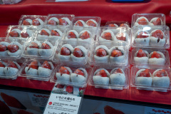 Nakajima Park, Sapporo