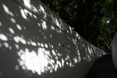 D030240