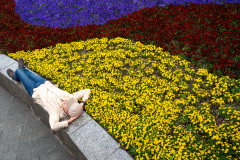Gucheng Park, 古城公园