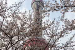 Oriental Pearl TV Tower, 东方明珠广播电视塔
