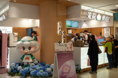 Molly Tea, 茉莉奶白