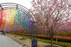 Peoples Park, 人民公园