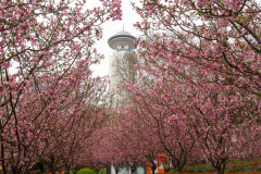 Peoples Park, Radisson Blu Hotel Shanghai New World, 上海新世界丽笙大酒店, 人民公园