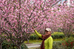 Peoples Park, 人民公园