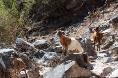 Shangri-La, Tiger Leaping Gorge, 虎跳峡景区