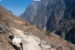 Shangri-La, Tiger Leaping Gorge, 虎跳峡景区