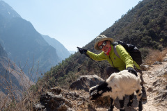 Shangri-La, Tiger Leaping Gorge, 虎跳峡景区