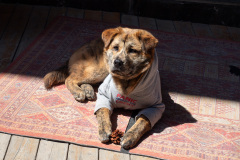 Du Ke Zong Gu Cheng, Shangri-La, Shangri-La City, 独克宗古城