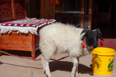 Du Ke Zong Gu Cheng, Shangri-La, Shangri-La City, 独克宗古城