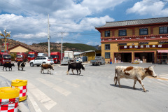 Shangri-La, Shangri-La City