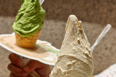 Futian, YEAH GELATO, 福田, 野人先生现做冰淇淋