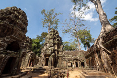 Angkor Archaeological Park, Ta Prohm Temple