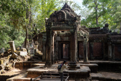 Angkor Archaeological Park, Ta Prohm Temple