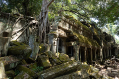 Angkor Archaeological Park, Ta Prohm Temple