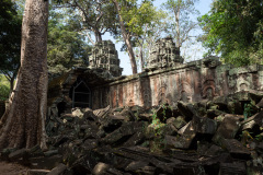 Angkor Archaeological Park, Ta Prohm Temple