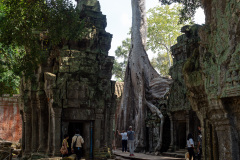 Angkor Archaeological Park, Ta Prohm Temple