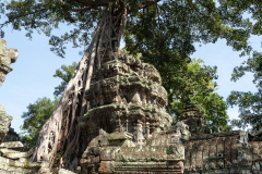 Angkor Archaeological Park, Ta Prohm Temple