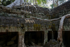 Angkor Archaeological Park, Ta Prohm Temple