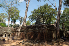 Angkor Archaeological Park, Ta Prohm Temple