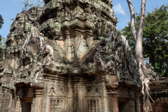 Angkor Archaeological Park, Ta Prohm Temple