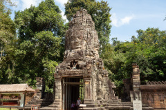 Angkor Archaeological Park, Ta Prohm Temple