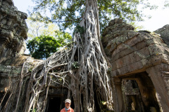 Angkor Archaeological Park, Ta Prohm Temple