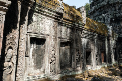 Angkor Archaeological Park, Ta Prohm Temple
