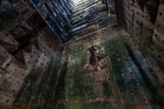 Angkor Archaeological Park, Ta Prohm Temple