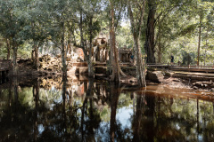 Angkor Archaeological Park, Ta Prohm Temple