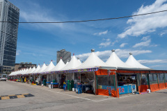 Dongmyeong Port Squid Festival, 동명항 오징어난전