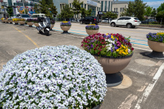 Sokcho