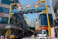 Juangang Market, Sokcho Tourist & Fishery Market, 속초관광수산시장, 중앙시장