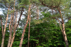 Seoraksan National Park Seorak District