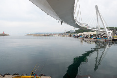 Daepohang Fish Market