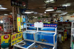 Chungju Hoetjip 1st Branch, Juangang Market, Sokcho Tourist & Fishery Market, 속초관광수산시장, 중앙시장, 충주횟집1호점