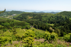 Boseong, Boseong Green Tea Field Daehan Dawon