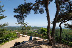 Boseong, Boseong Green Tea Field Daehan Dawon