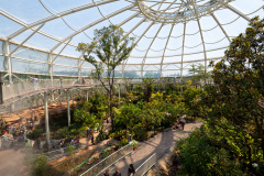 Suncheon, Suncheon Bay National Garden, Suncheon Bay National Garden Botanical Garden, 순천만국가정원 식물원