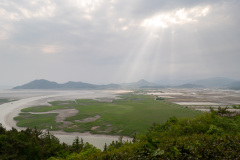 Suncheon, Suncheon Bay Nature Reserve, Suncheon Bay Reed Field, Yongsan Observatory, Suncheonman Wetland