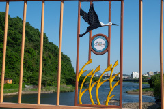 Dongcheon River, Suncheon
