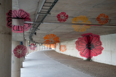 Dongcheon River, Suncheon