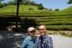 Boseong, Boseong Green Tea Field Daehan Dawon